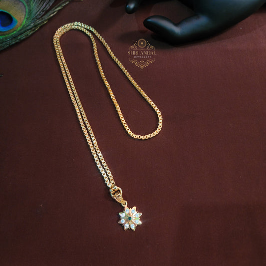 24-inch impon dollar chain